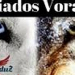 Afiliados Vorazes – Eduardo Legaduz 2020.1