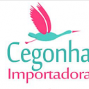 Cegonha Importadora – Heloise Miotto 2020.1