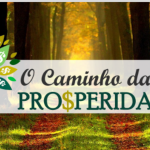 O Caminho da Prosperidade – Marcia Luz 2020.1