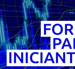 Forex para iniciantes - Dyogenes Diniz 2020.2