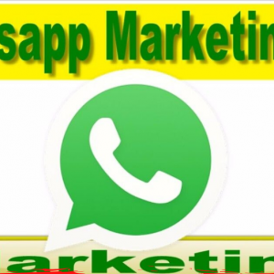 WhatsApp Marketing 2.0 – Fabricio Ferracini 2020.1