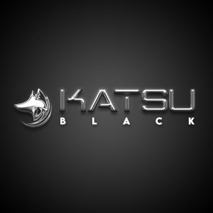 Katsu Black Belt - marketing digital - rateio de cursos