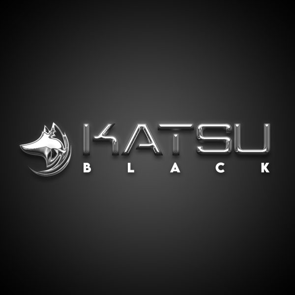 Katsu Black Belt - marketing digital - rateio de cursos