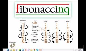 Fibonaccing Club - Marco Rossi - marketing digital