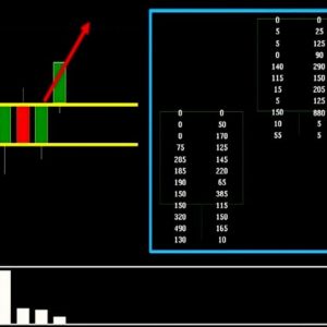 Scalper Trader Investimentos Tape Reading Price Action Análise Volume