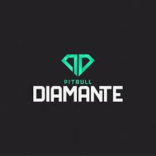 Pitbull Diamante - Tom Freire - marketing digital - rateio de cursos
