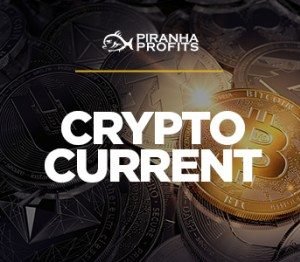 Cryptocurrency Trading Course - Piranha Profits 2021