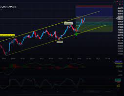 Investimentos Trading - marketing digital - rateio de cursos